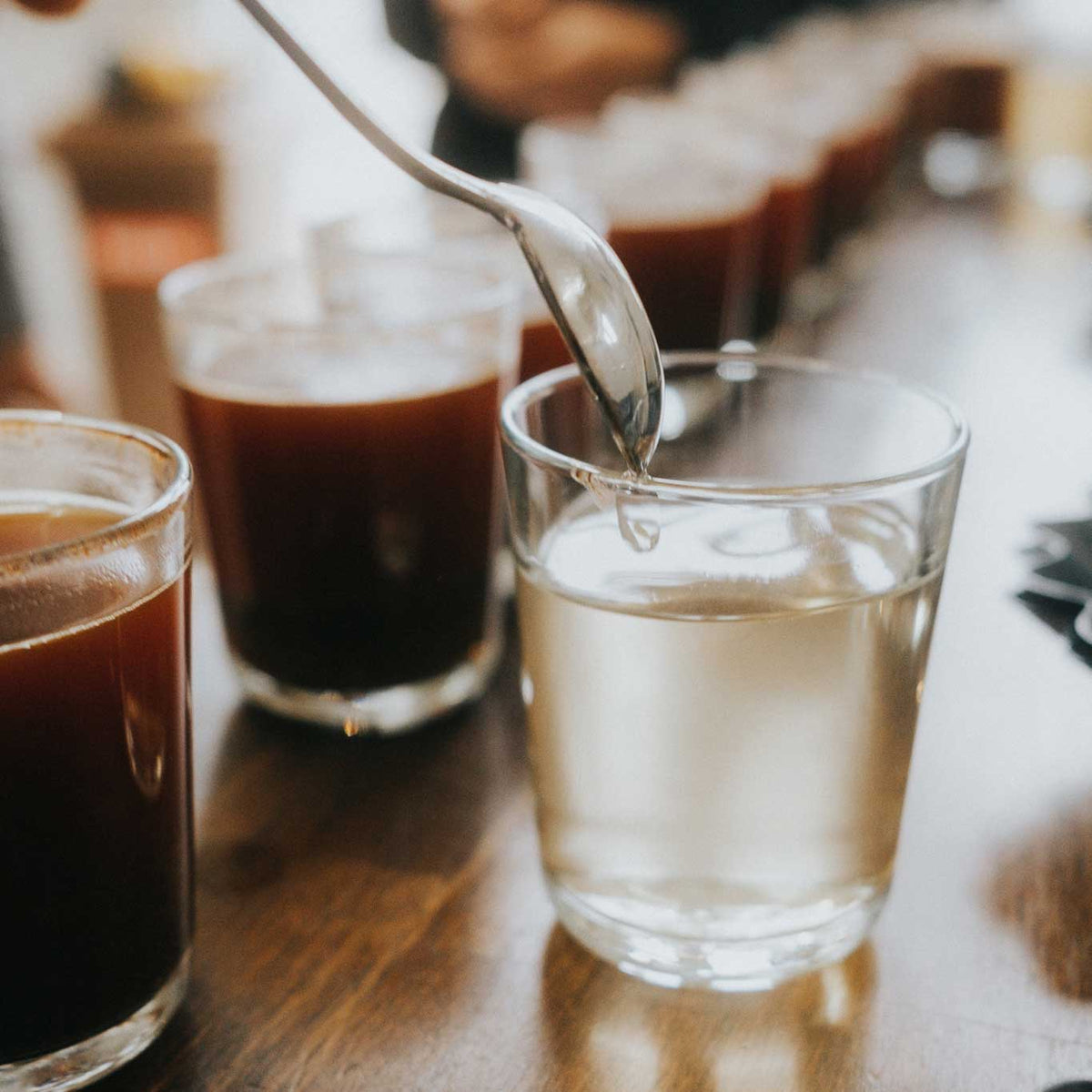 Rösterei-Tour mit Kaffeeverkostung professionelles Cupping