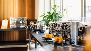 roestkaffee Kaffeemaschinen-Verkauf, Kaffeemaschinen, Rocket Appartamento, Maschinenwerkstatt