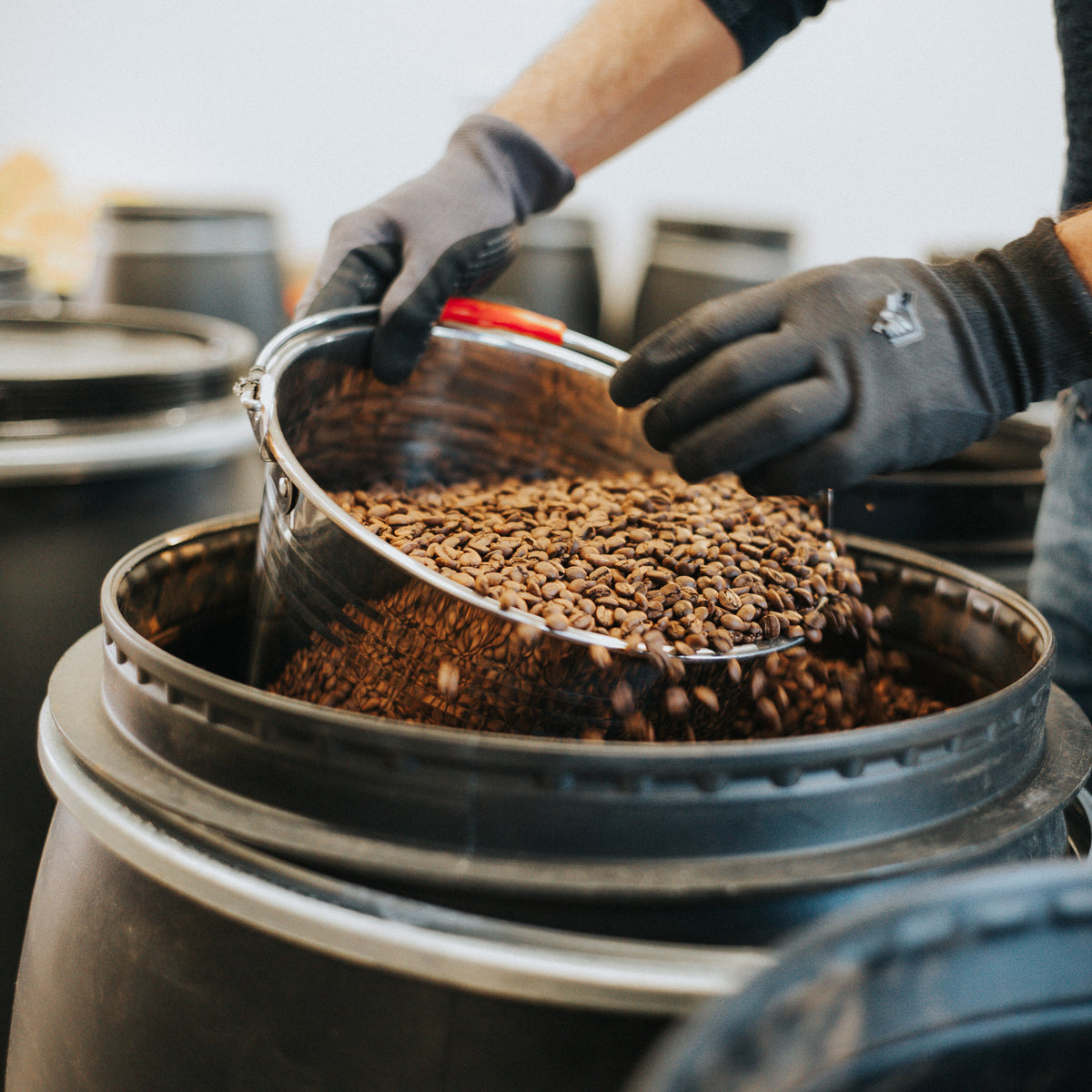 Rösterei-Tour mit Kaffeeverkostung: frisch gerösteter Kaffee